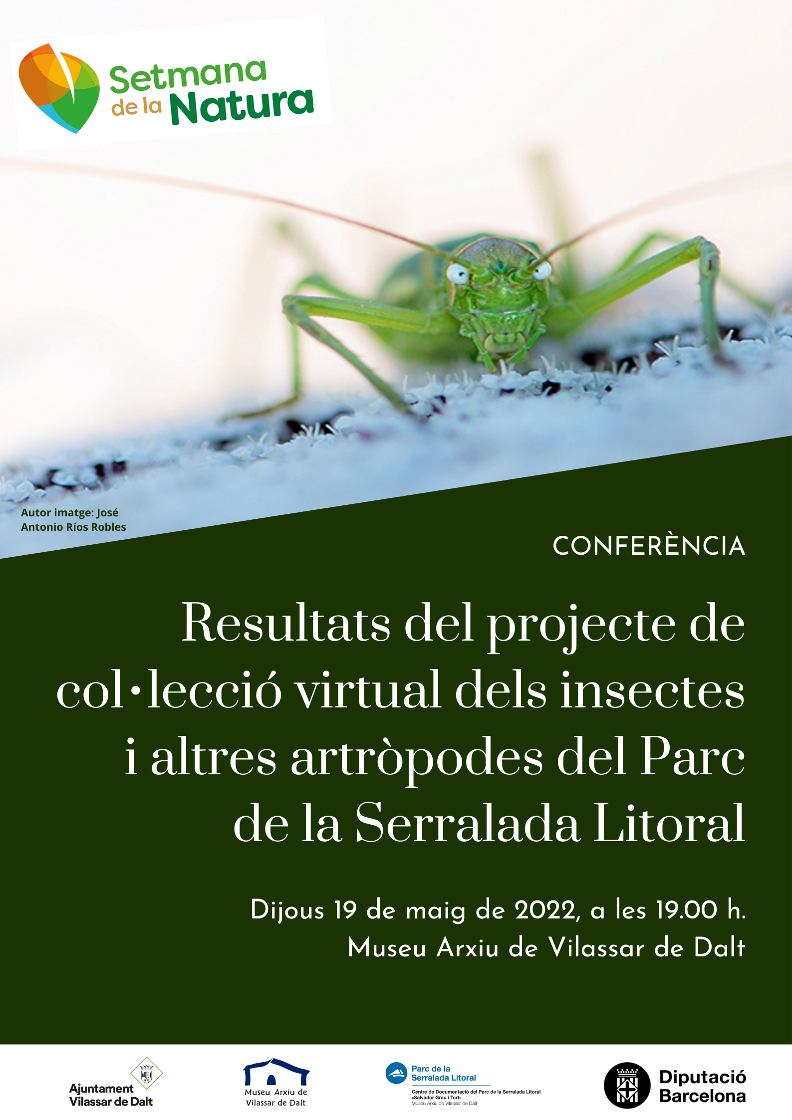 Conferència: Resultats del projecte de col·lecció virtual dels insectes i altres artròpodes del Parc de la Serralada Litoral