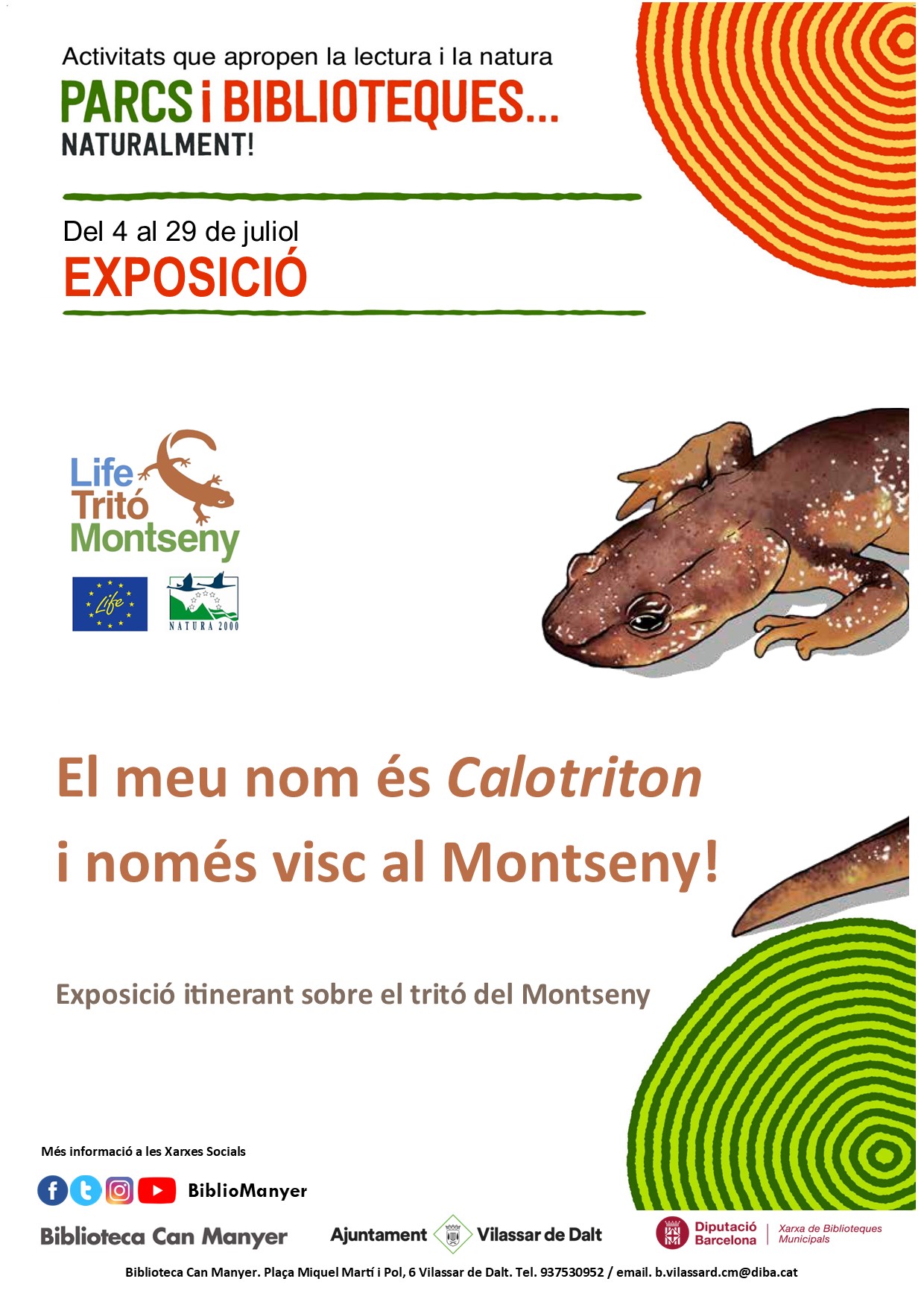 Exposició: El meu nom és Calotriton i només visc al Montseny! 
