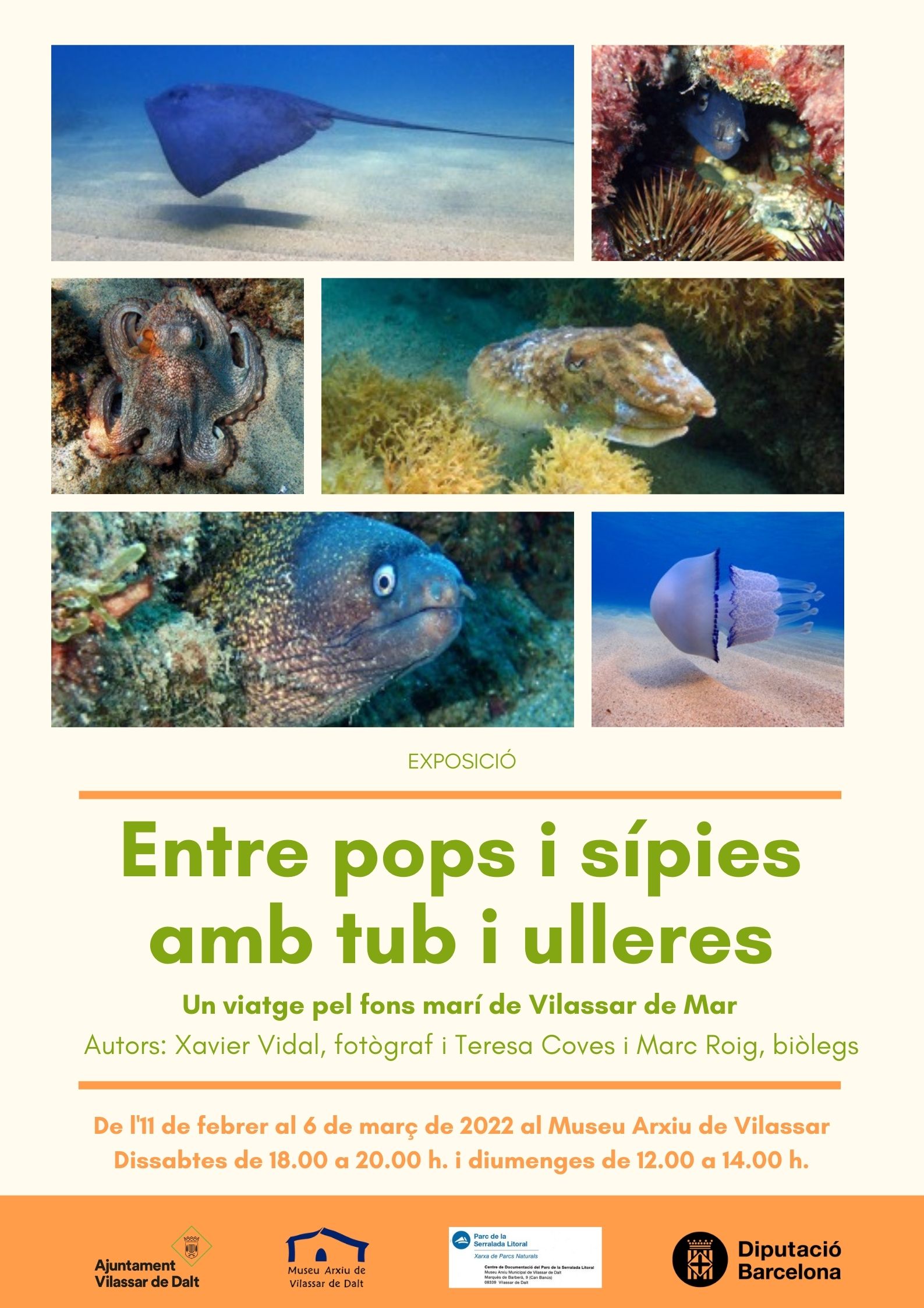 Exposici&oacute;: Entre pops i s&iacute;pies amb tub i ulleres