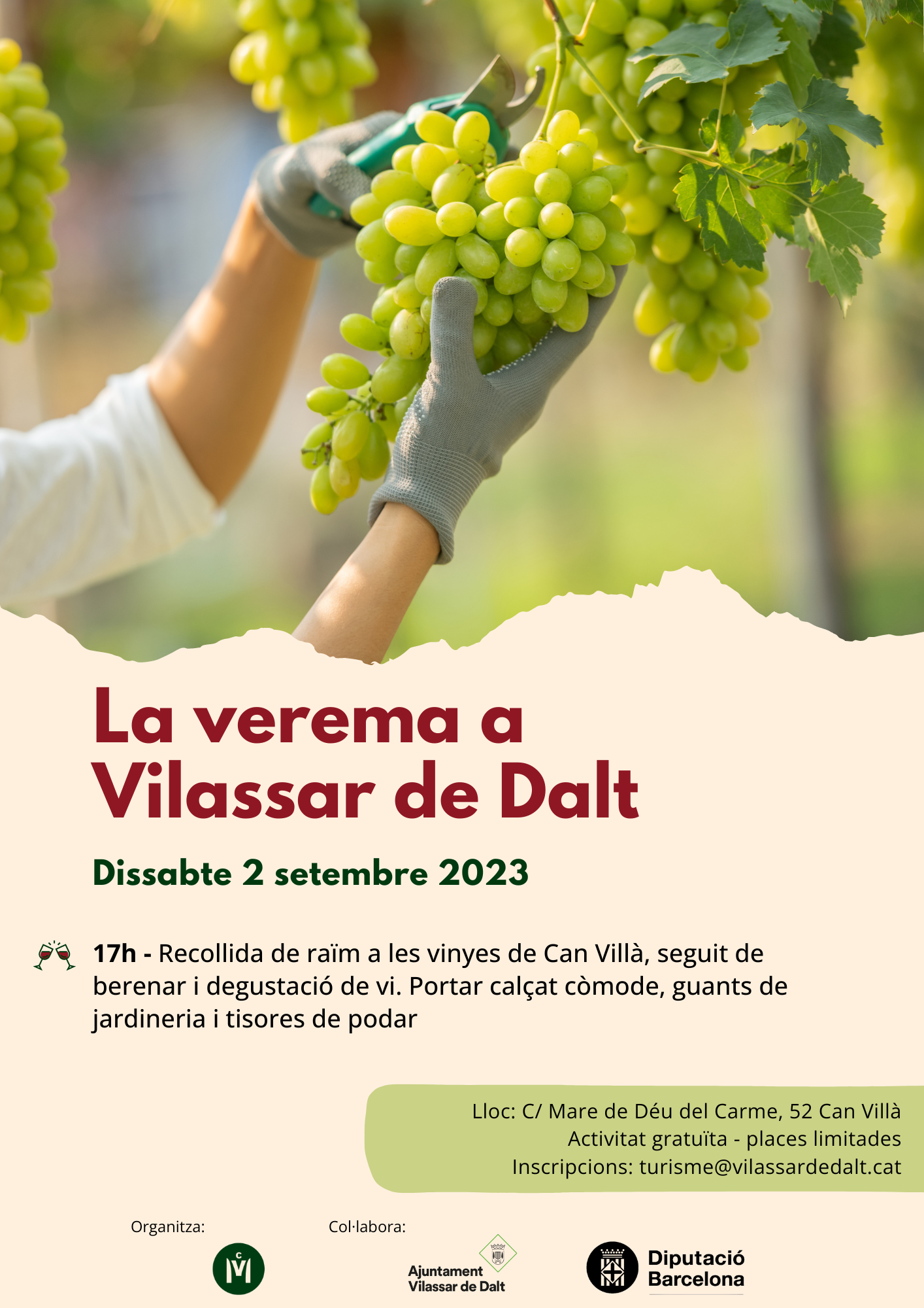 INSCRIPCIONS TANCADES! La verema a Vilassar de Dalt