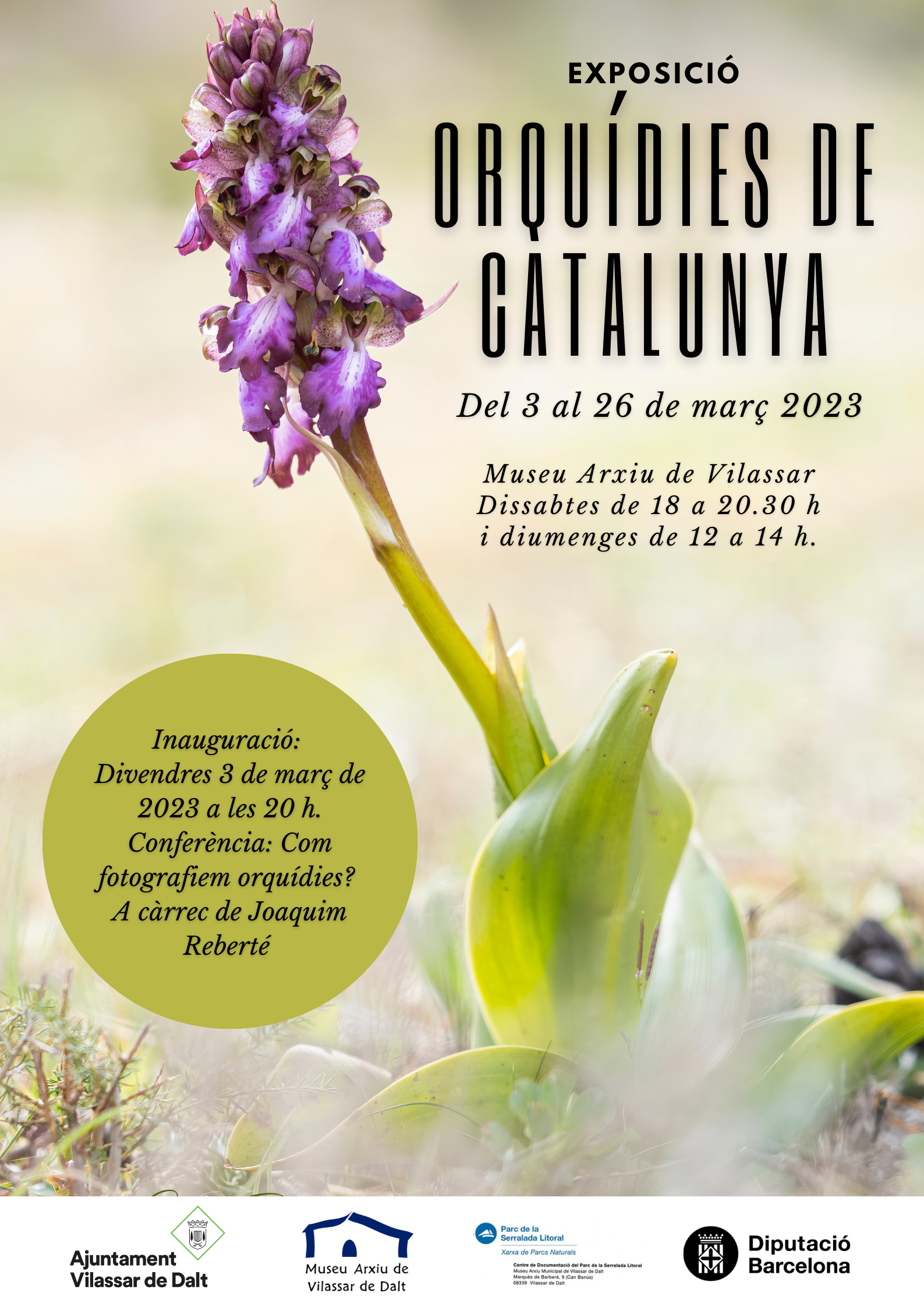Exposici&oacute; 'Orqu&iacute;dies de Catalunya'