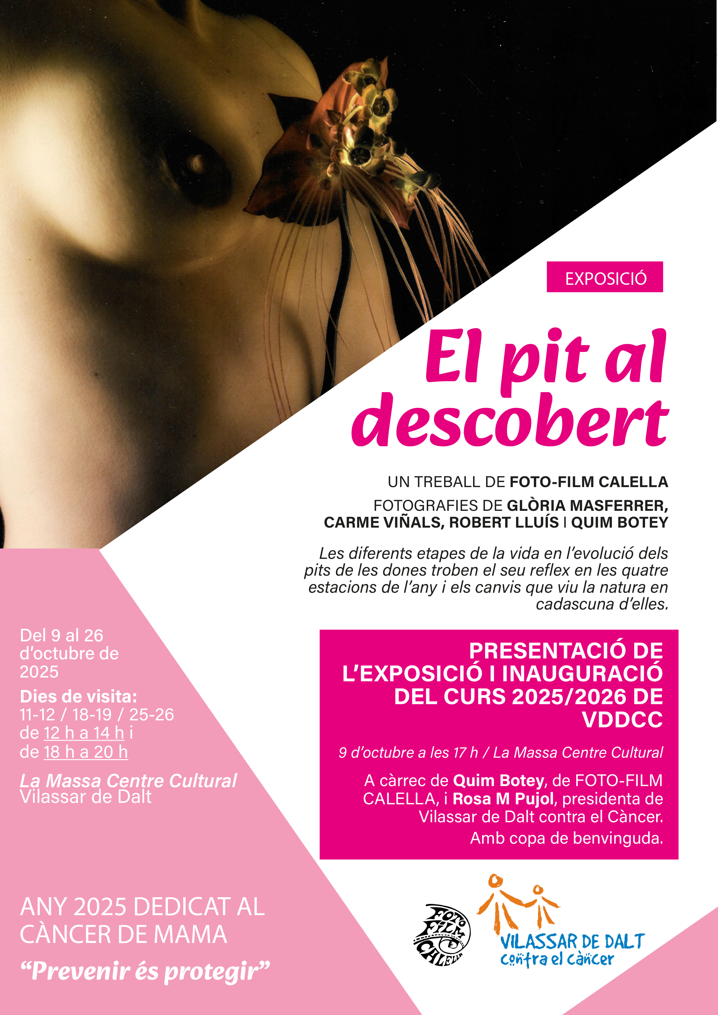 Exposició 'El pit descobert'