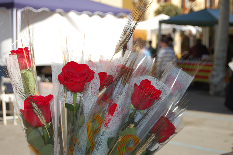 Sant Jordi 2013