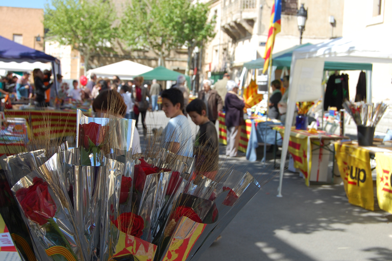 Sant Jordi 2013