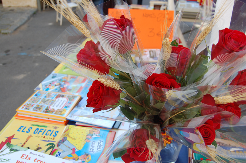 Sant jordi 2014