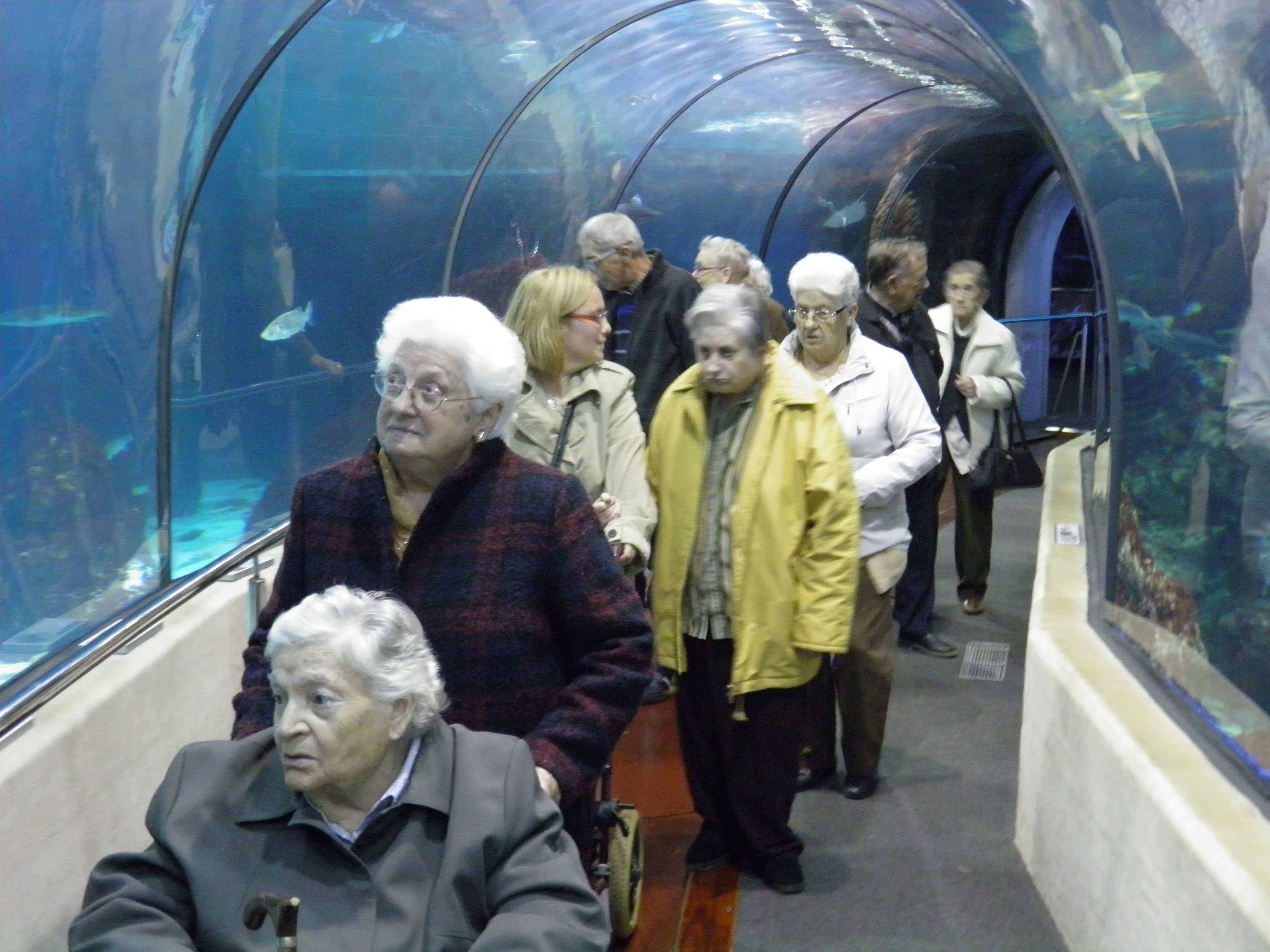 Gent gran a l'Aquàrium de Barcelona