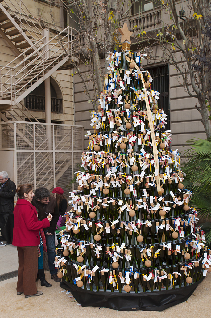 Arbre dels Desitjos de CORK
