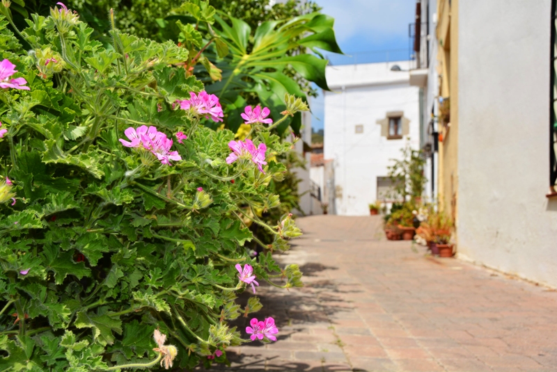 Viles Florides Vilassar de Dalt