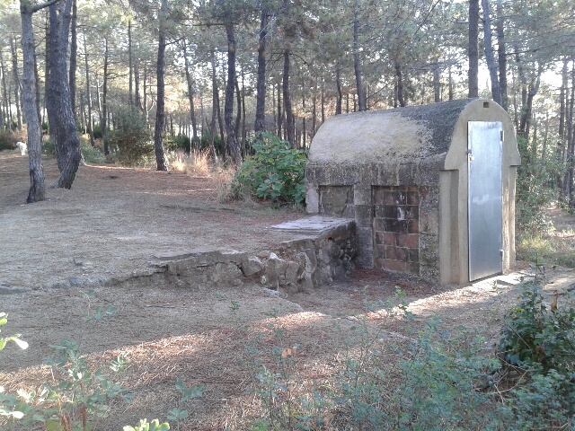 Barraca de vinya