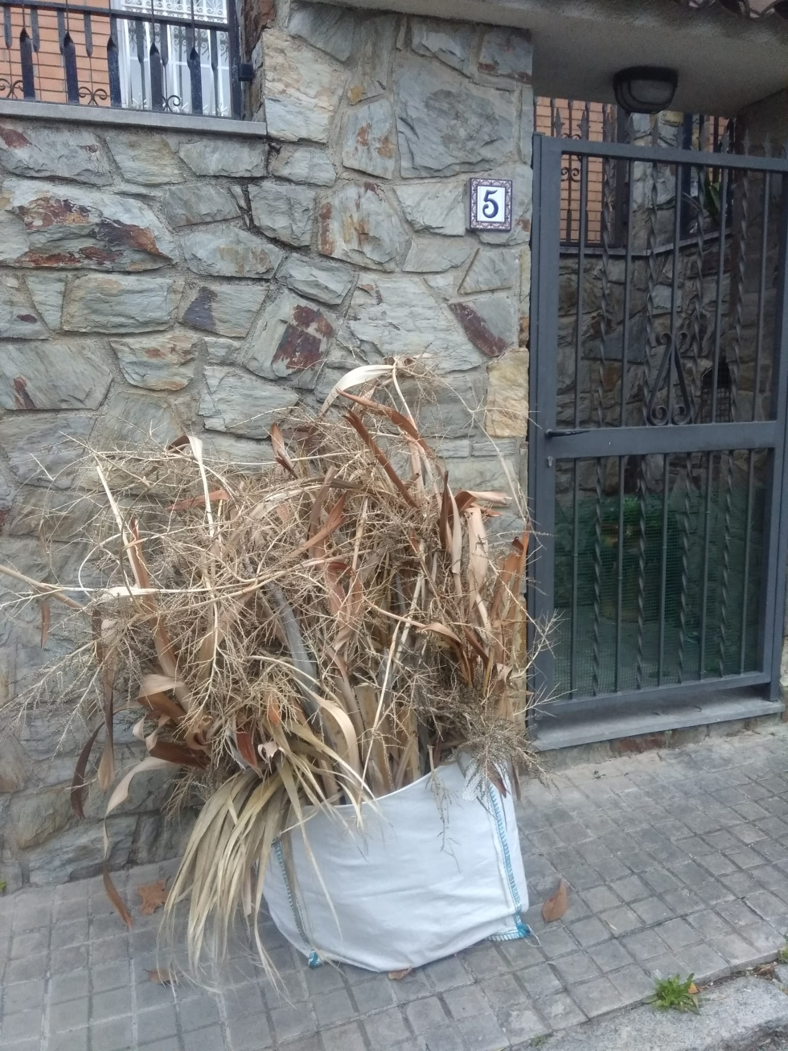 L'ajuntament de Vilassar amplia la recollida de restes de poda i jardineria porta a porta