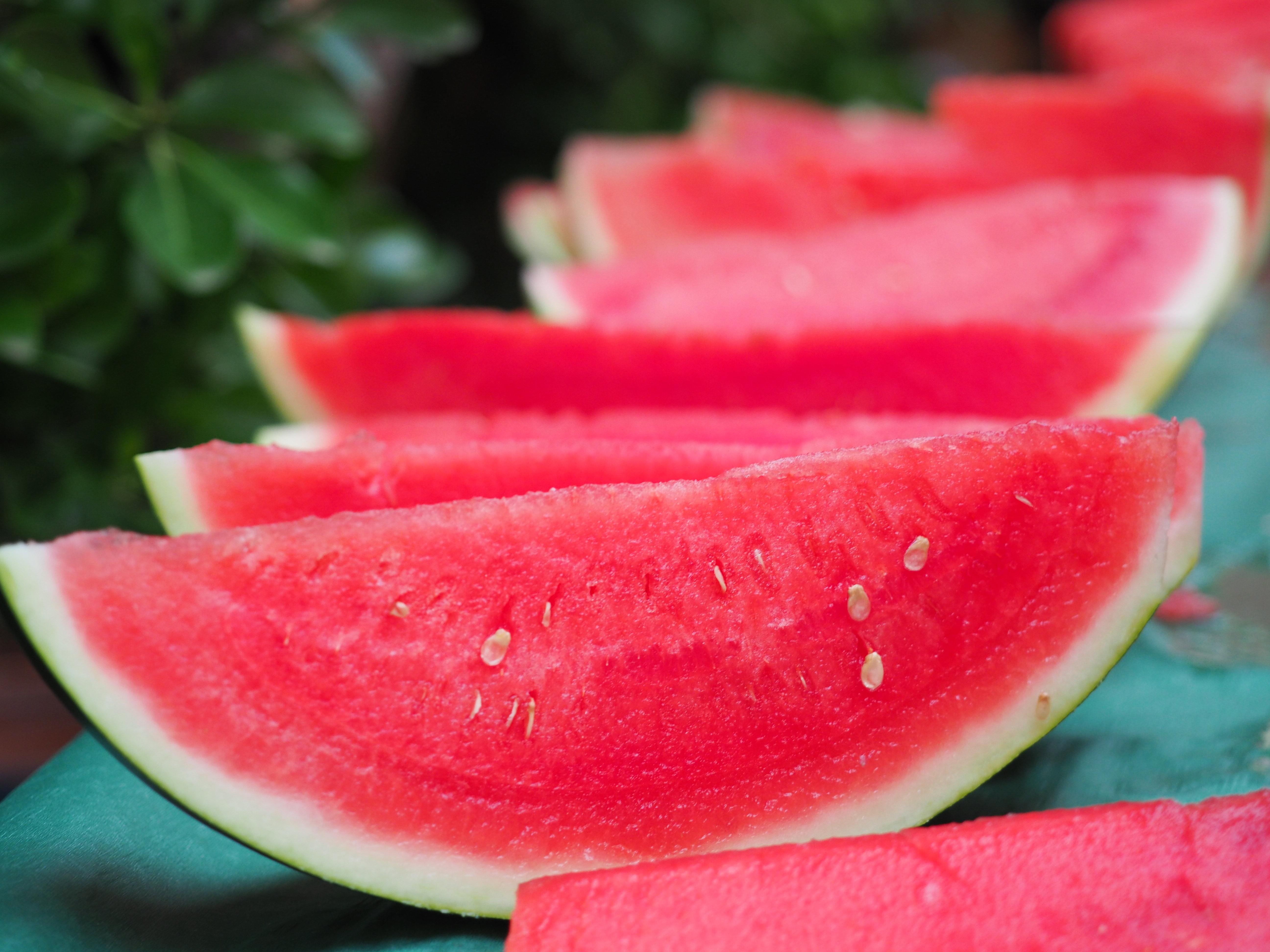 Sants Genís 23. Sindriada