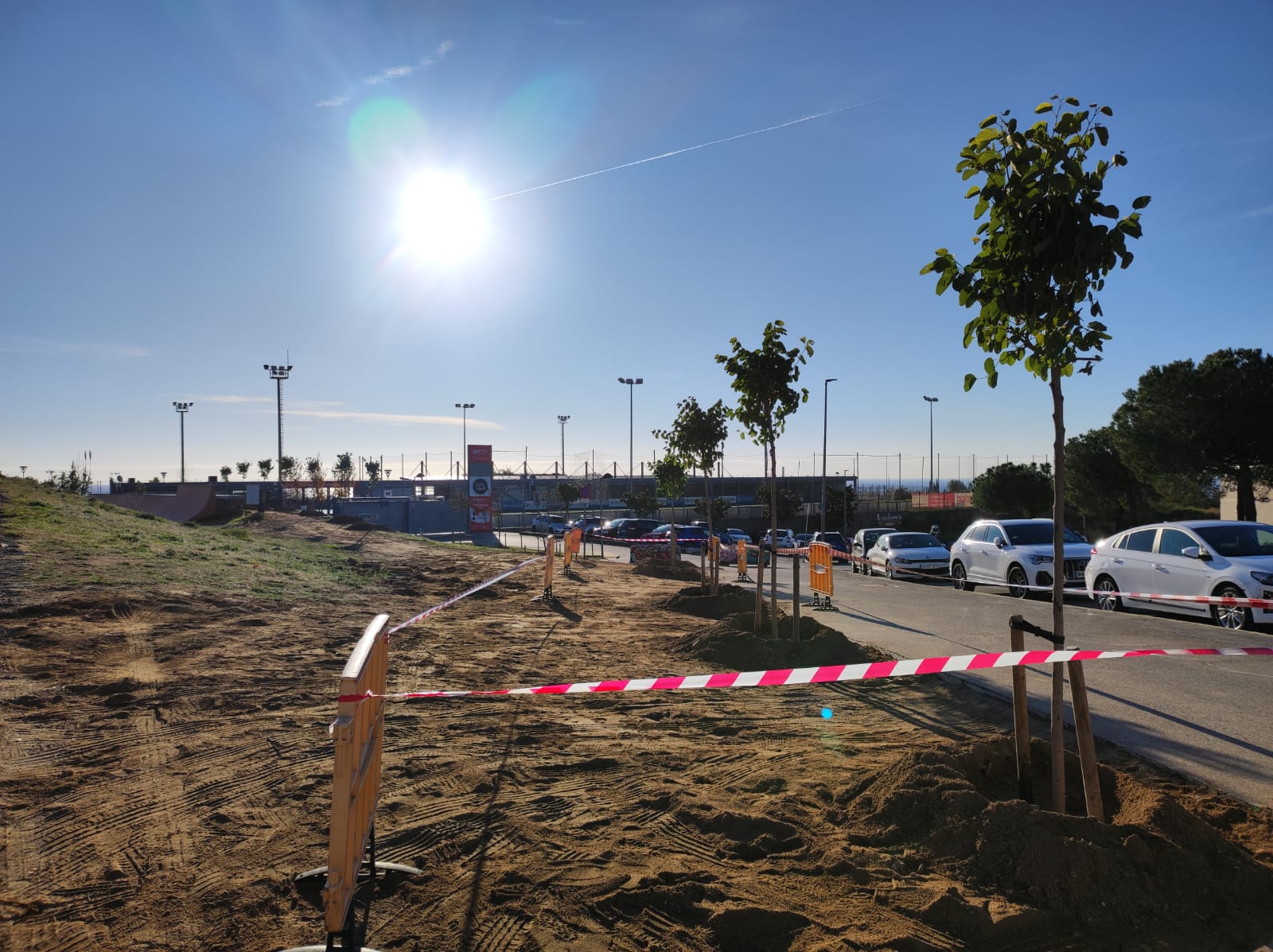 Continua el desplegament del Pla de Verd Urbà amb la plantació de diverses espècies d'arbres