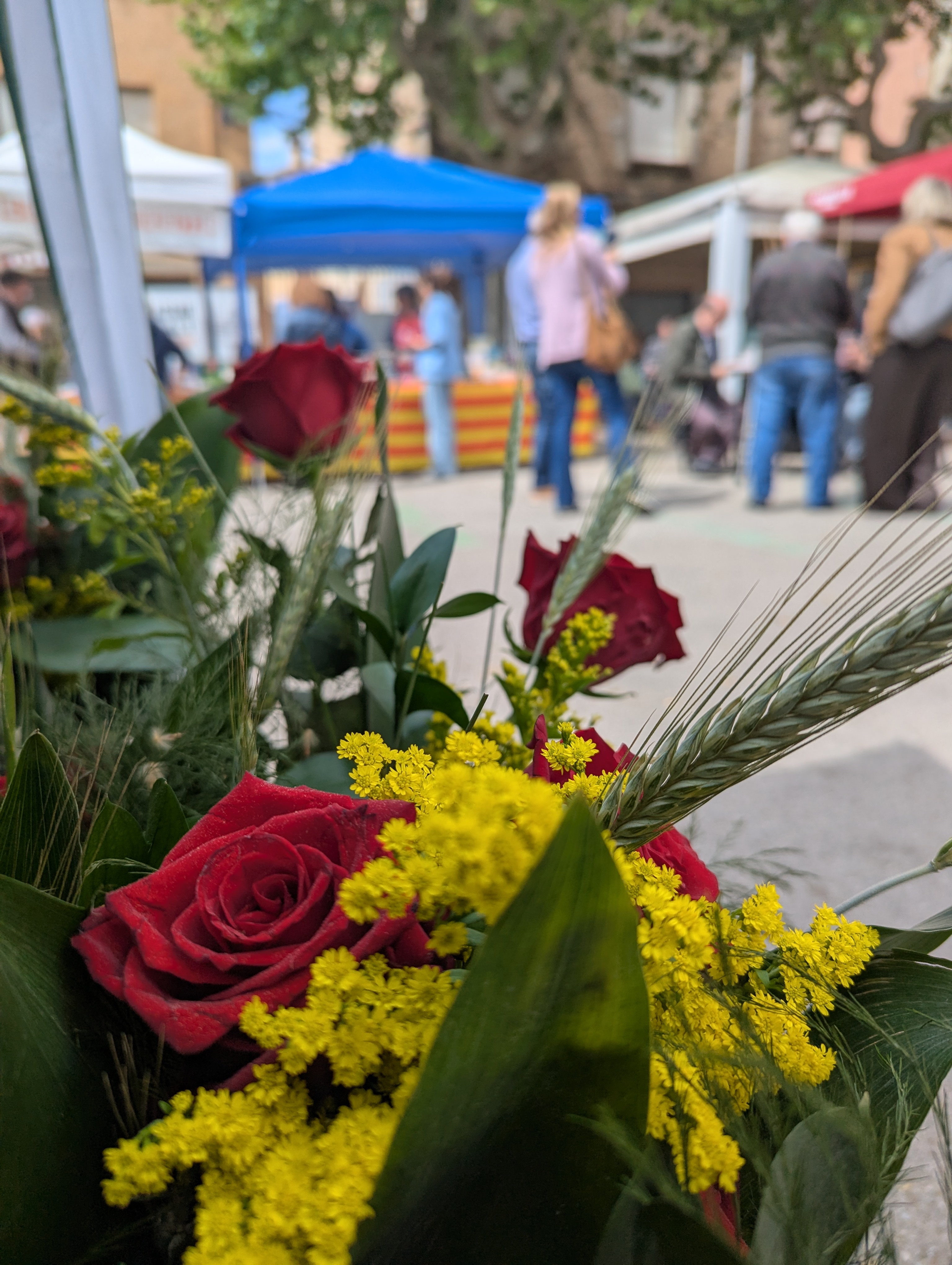 Roses, llibres i autors locals protagonitzen la Diada de Sant Jordi
