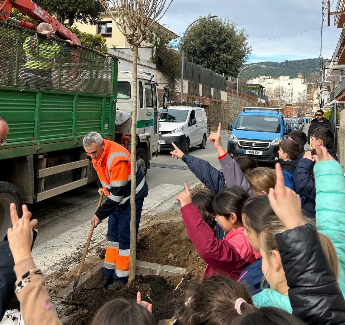 Noves plantades d'arbres per reduir la calor i millorar el confort climàtic Noves plantades d'arbres per reduir la calor i millorar el confort climàtic
