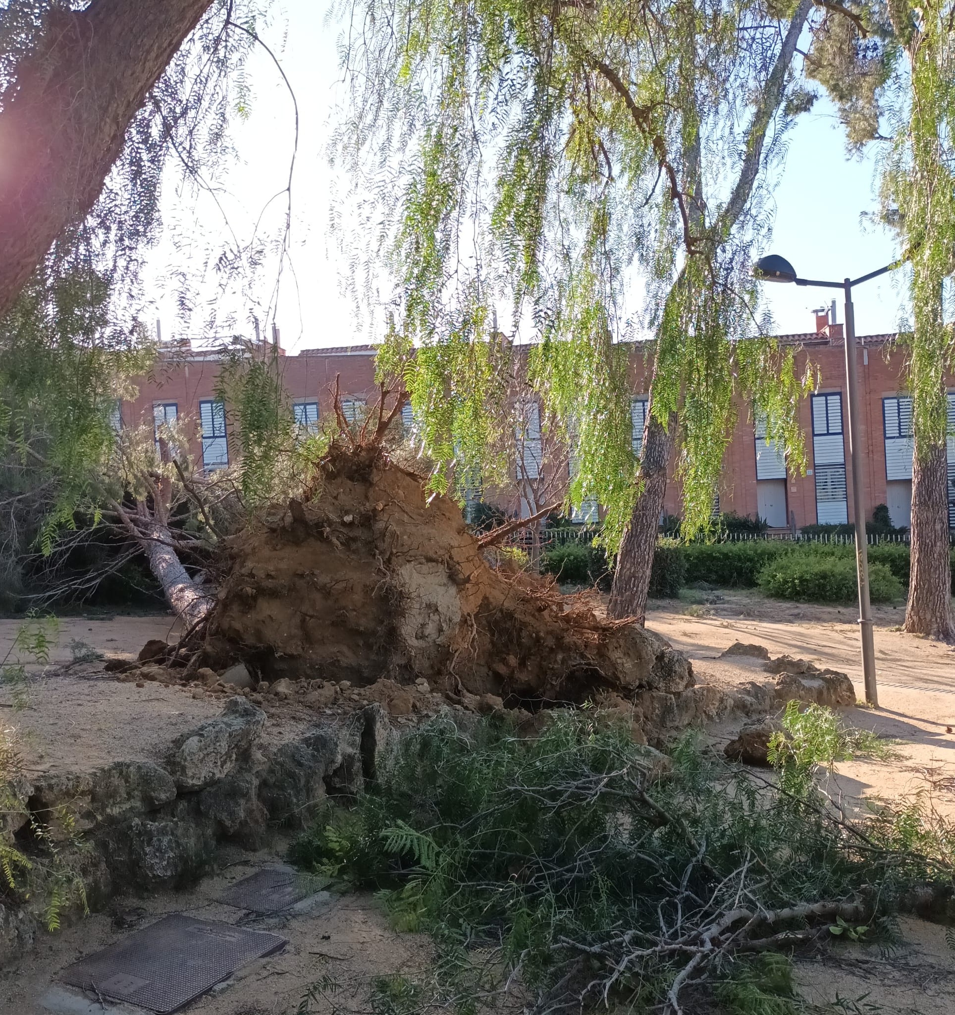 Les ventades causen m&eacute;s d'una trentena d'incid&egrave;ncies a Vilassar