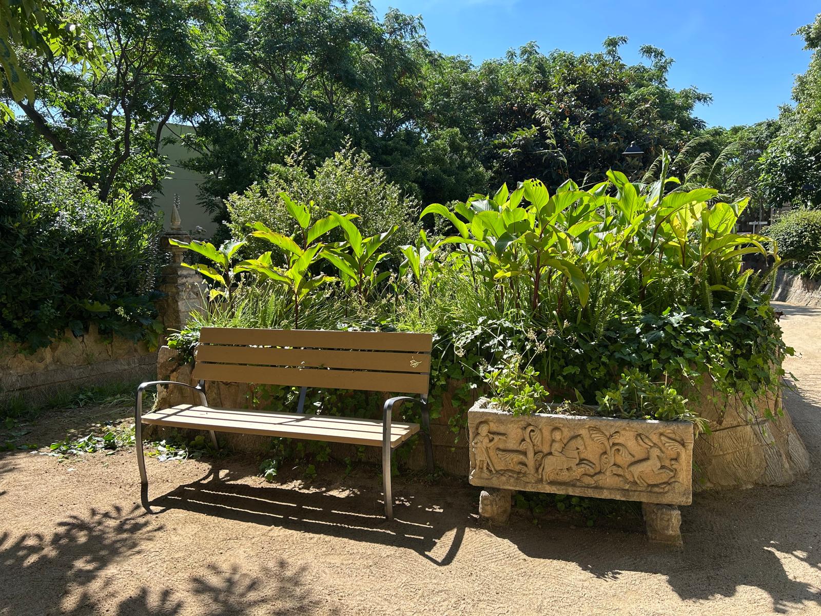 S'obre al p&uacute;blic el jard&iacute; del Museu 